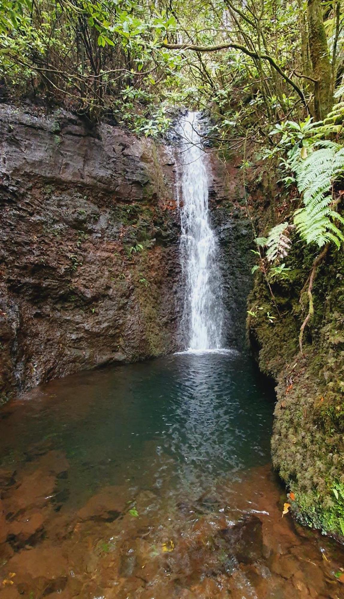 Achadas Nature Suite Achadas da Cruz 外观 照片