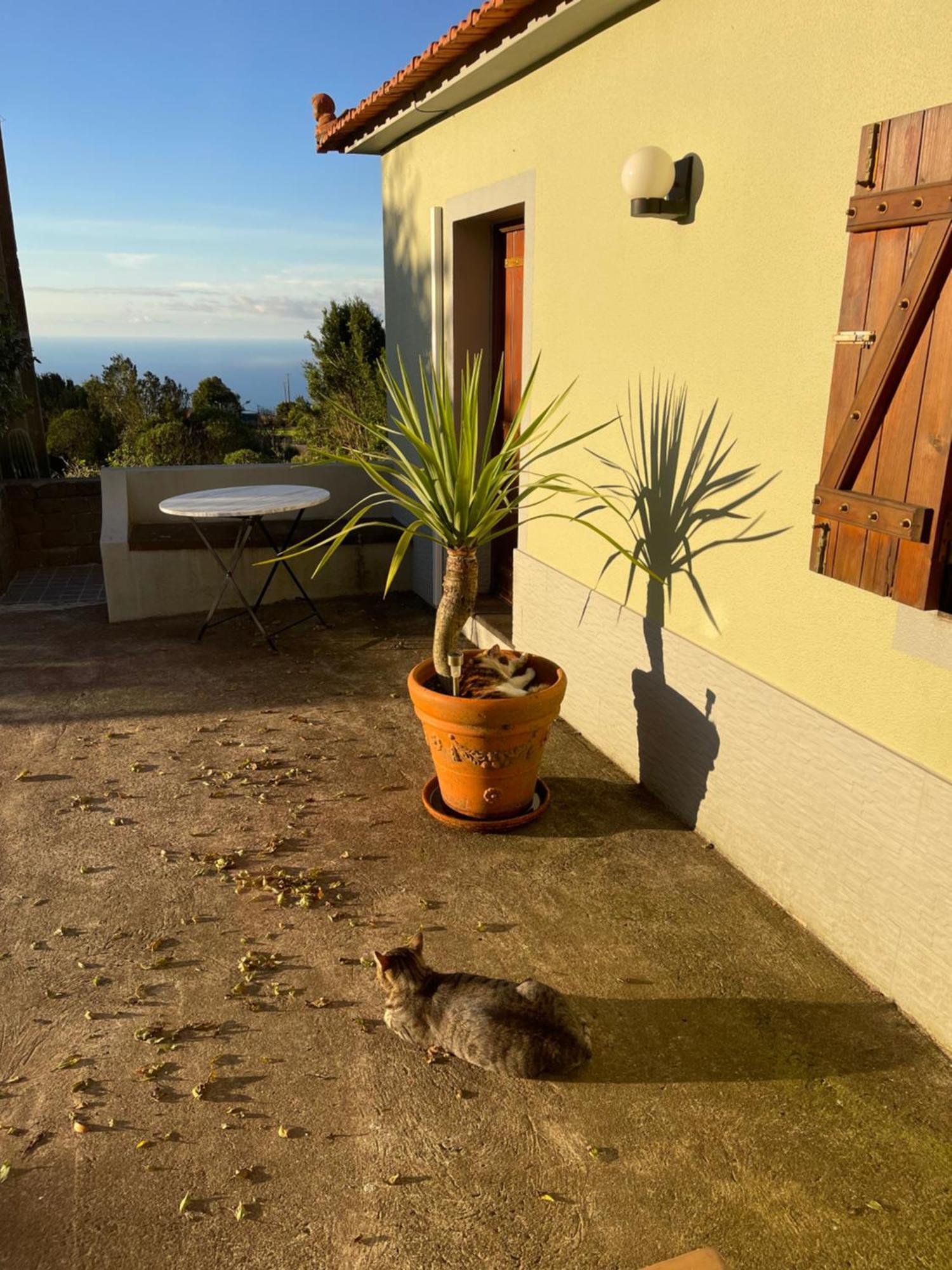 Achadas Nature Suite Achadas da Cruz 外观 照片